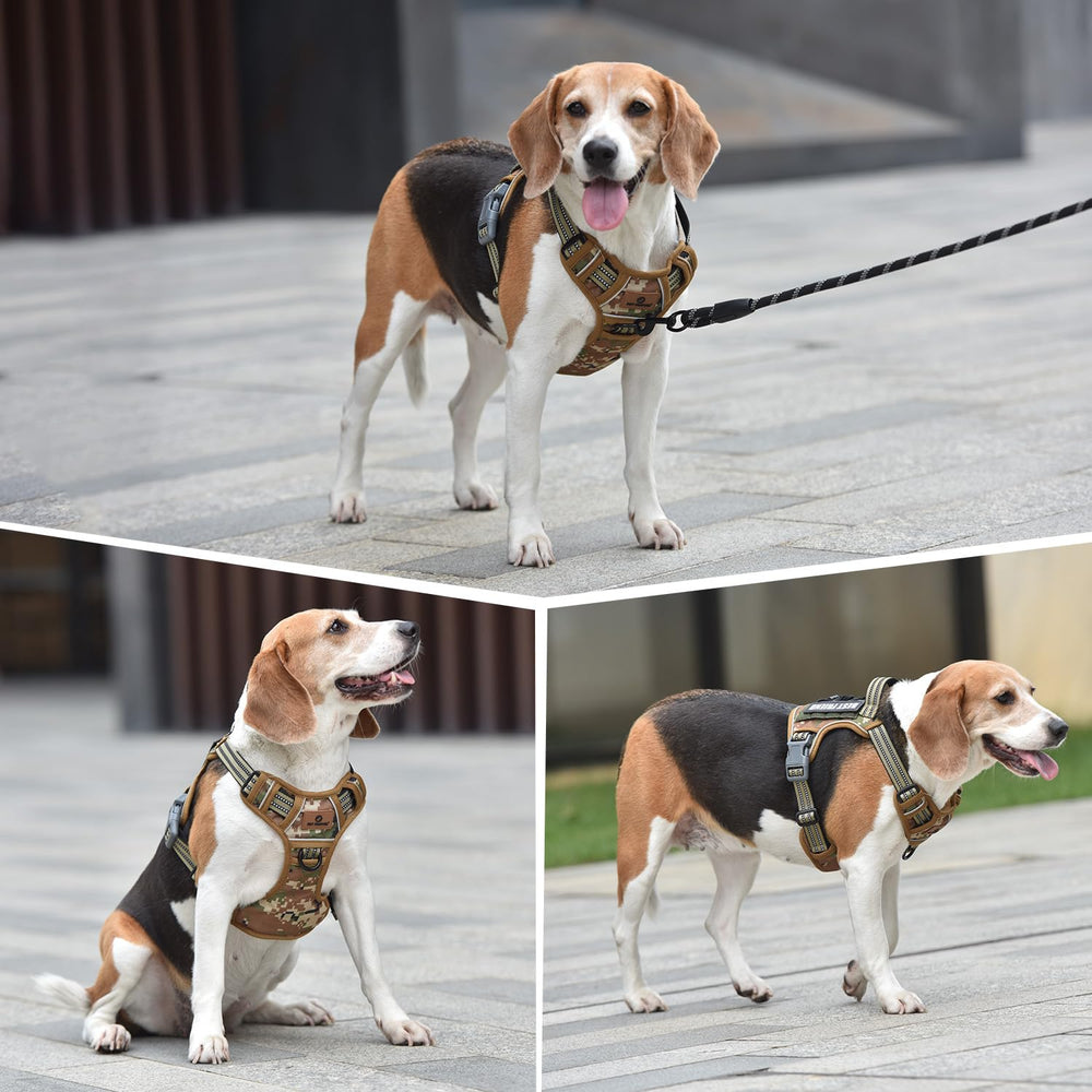 PET MARVEL Adjustable-fit view highlighting chest 20-42 inches and neck 14-31 inches range.