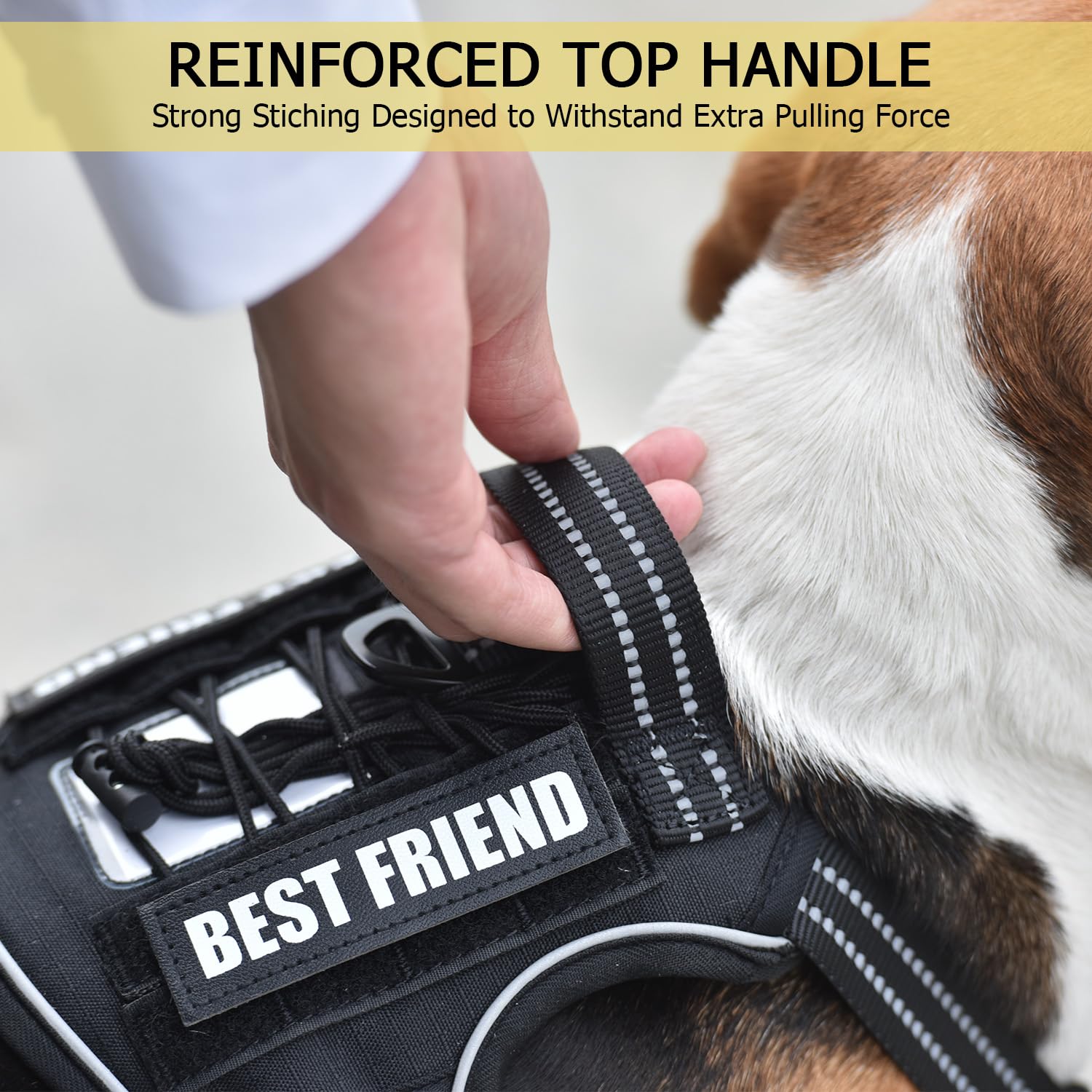 PET MARVEL Tactical harness MOLLE system for gear and personalization.