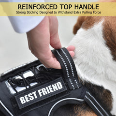 PET MARVEL Tactical harness MOLLE system for gear and personalization.