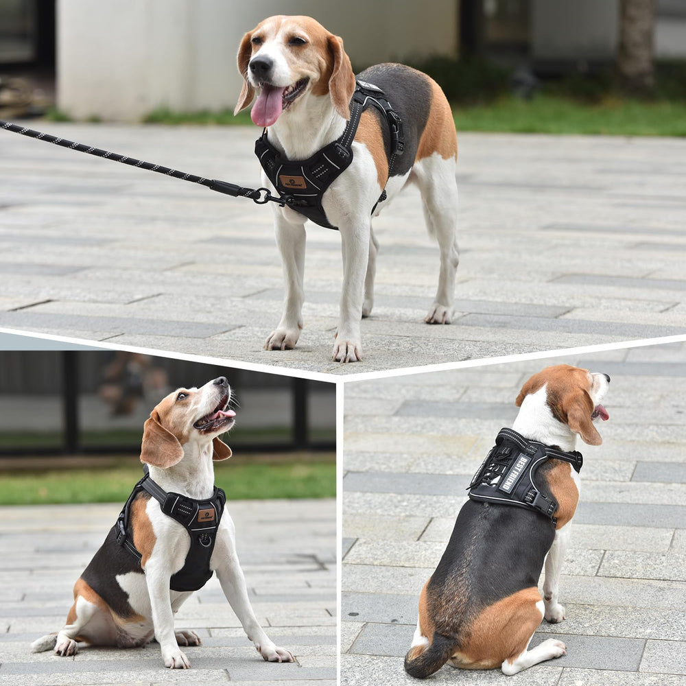 PET MARVEL Tactical no-pull front clip supports freedom of movement.