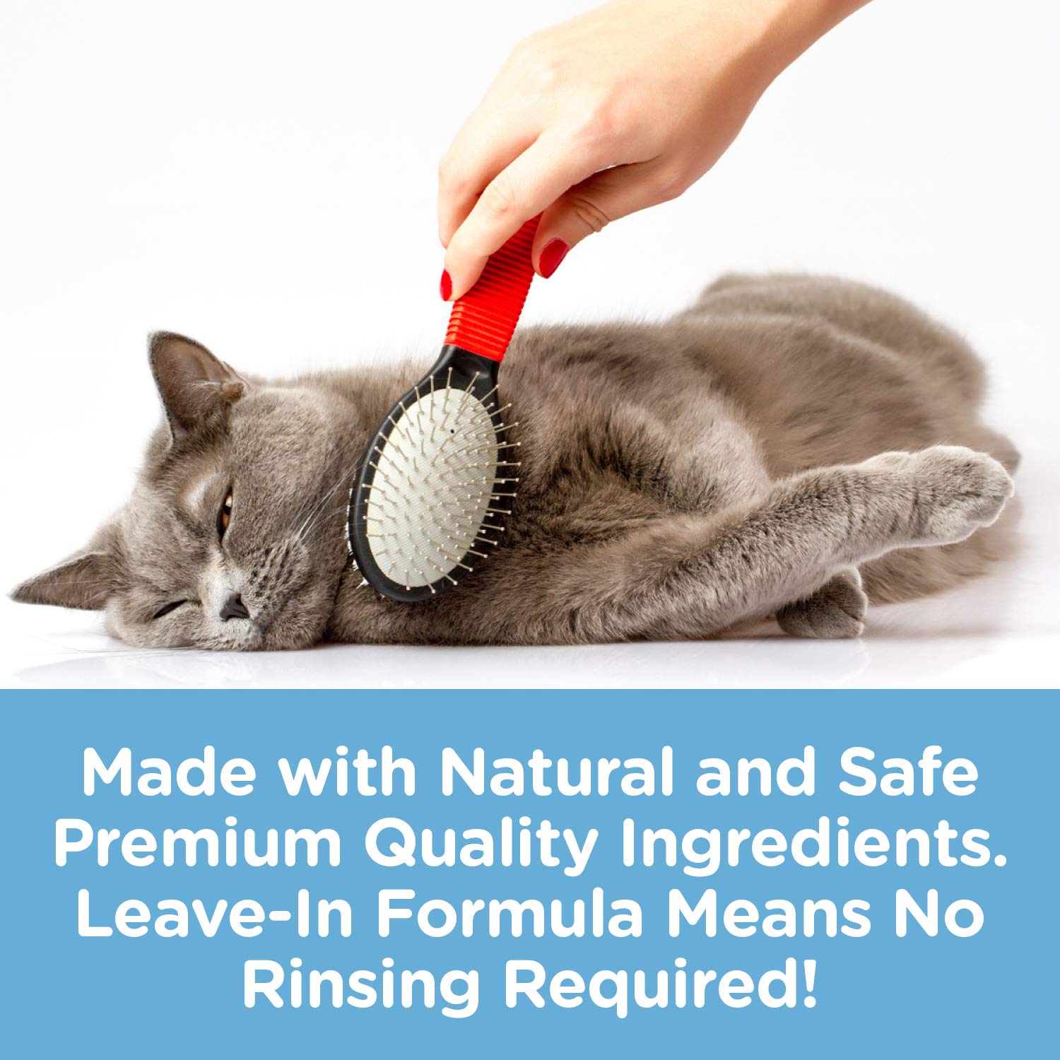 Pet MasterMind natural ingredients label on detangler bottle