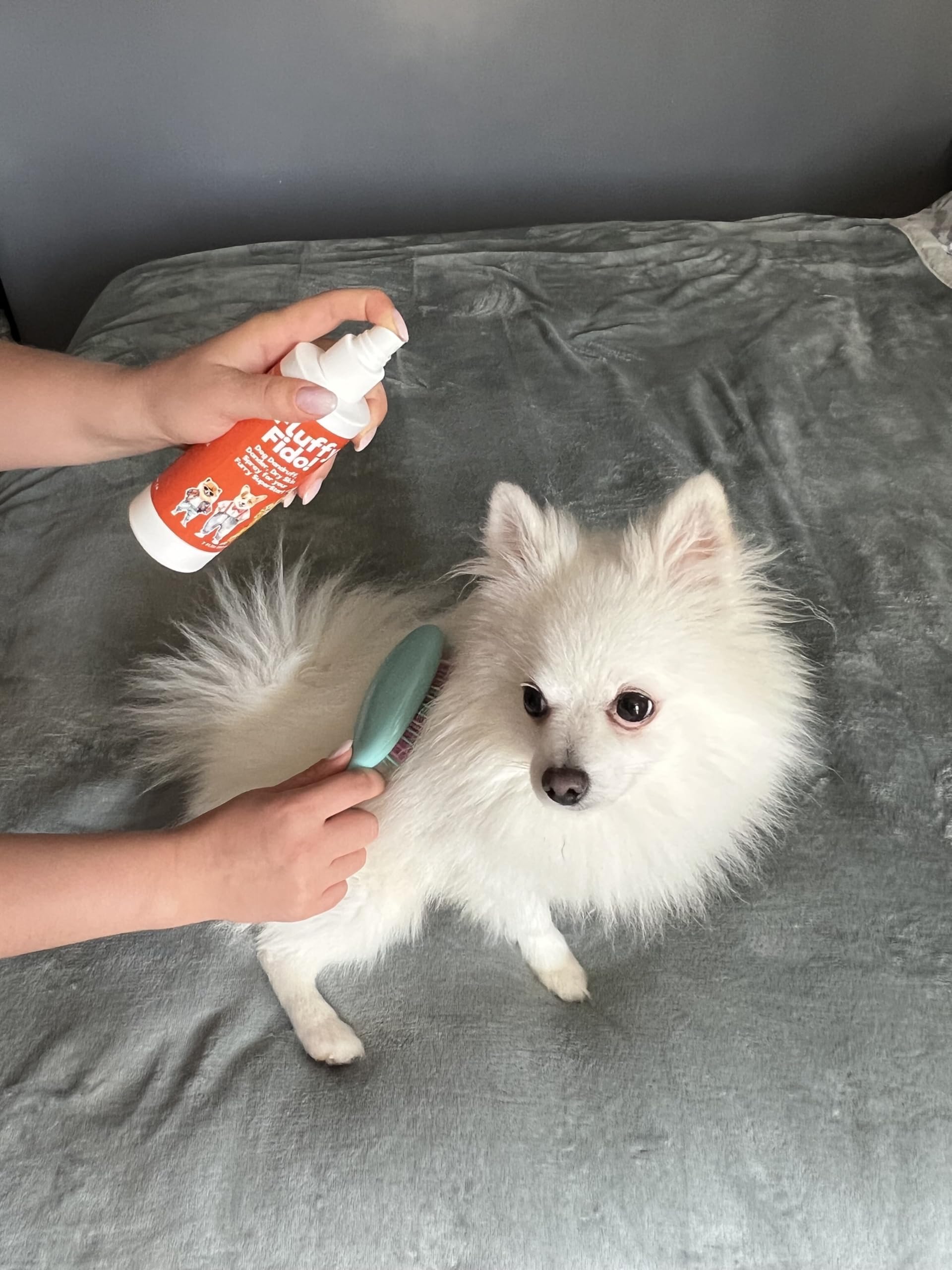 Pet MasterMind unscented label close-up on product packaging.
