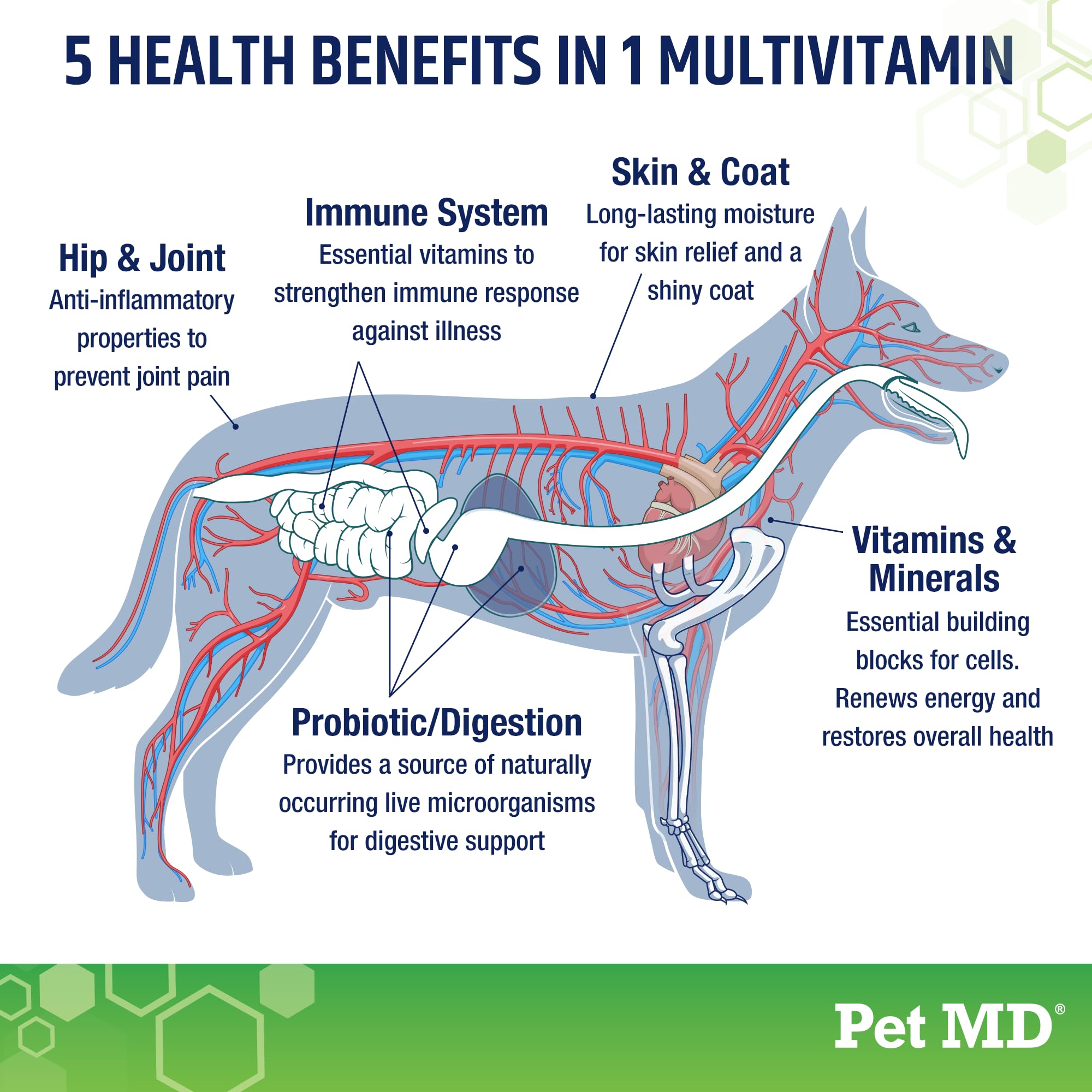 Pet MD 5in1 skin coat image emphasizes Omega balance for a shiny, healthy-looking coat.