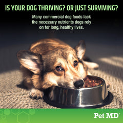 Pet MD 5in1 soft chews closeup highlighting tasty texture and palatable daily supplement.