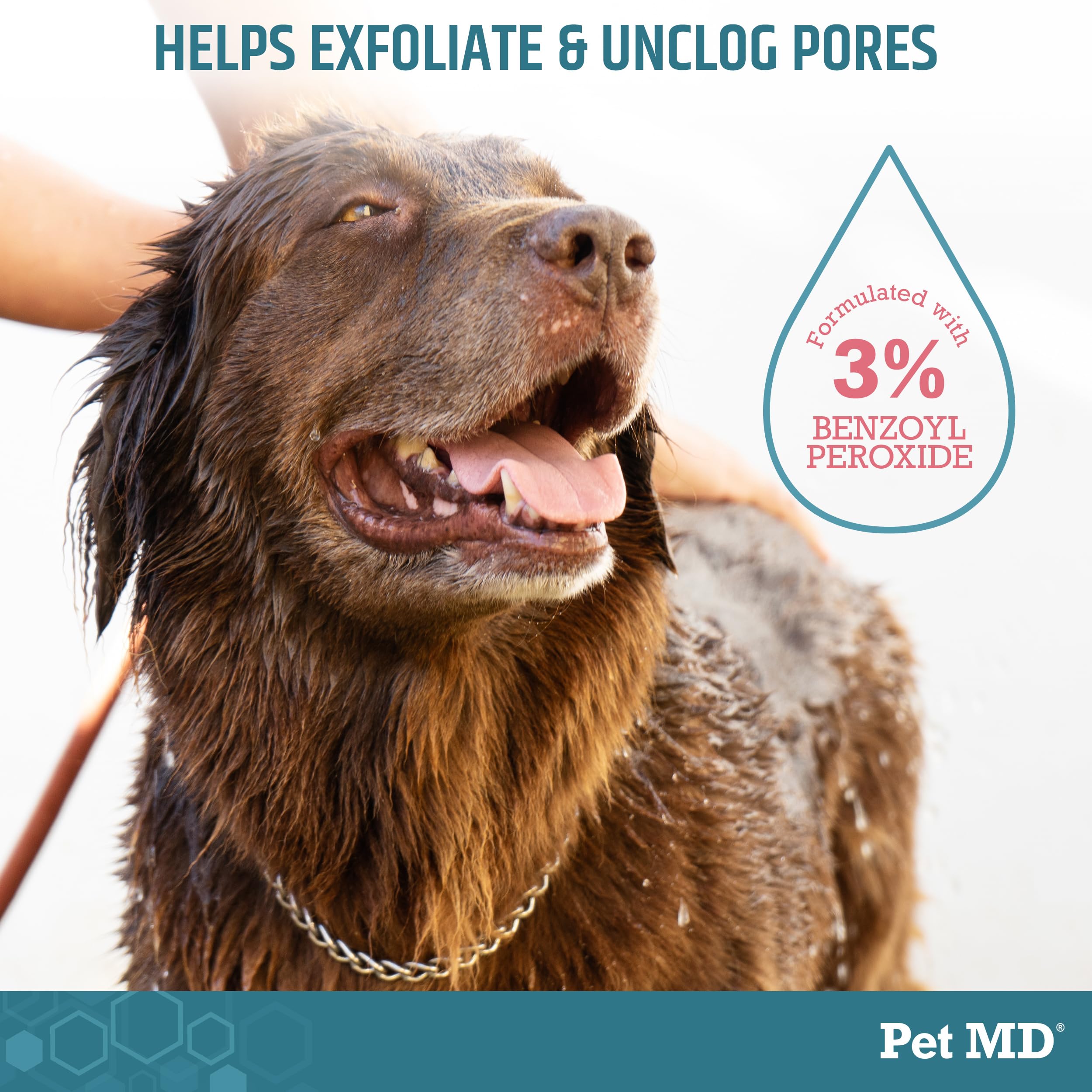 Pet MD Benzoyl Peroxide Medicated Shampoo on dog coat after wash—soft, refreshed fur.