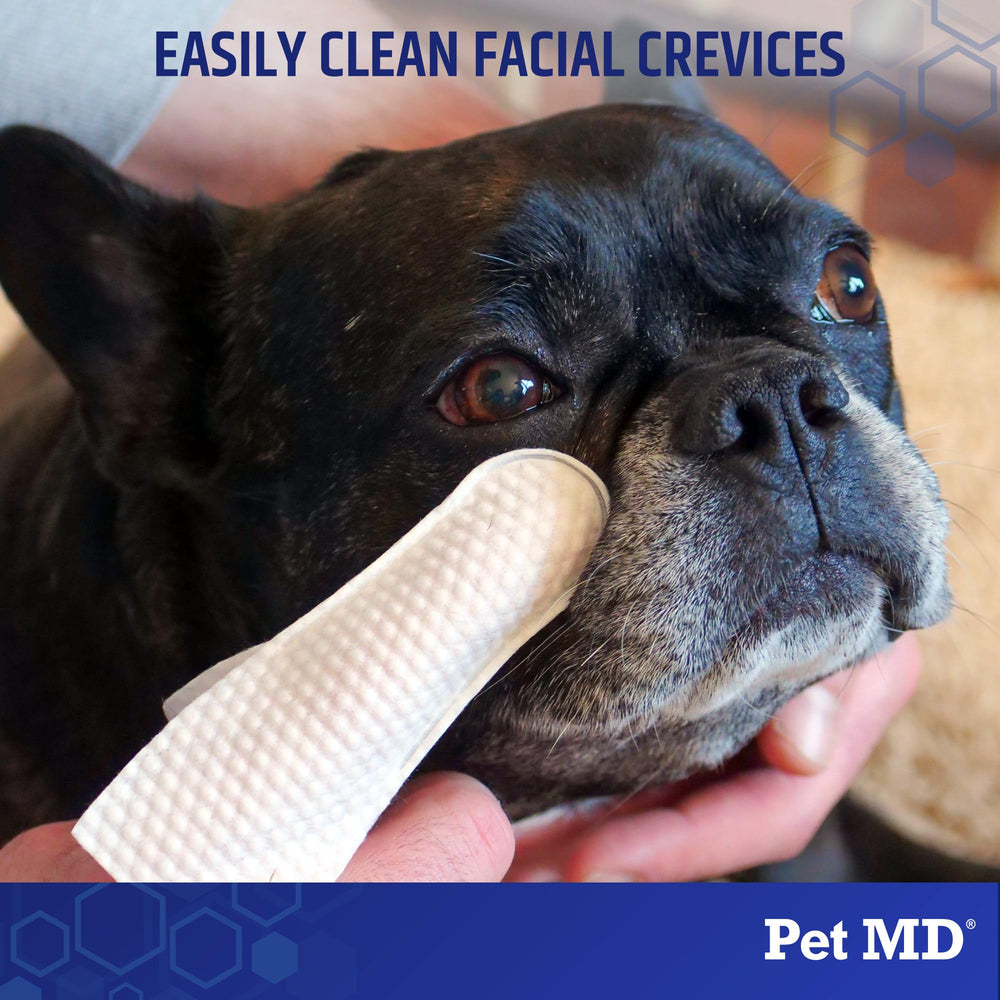 Pet MD Cat Eye Wipes being applied for gentle cleansing.