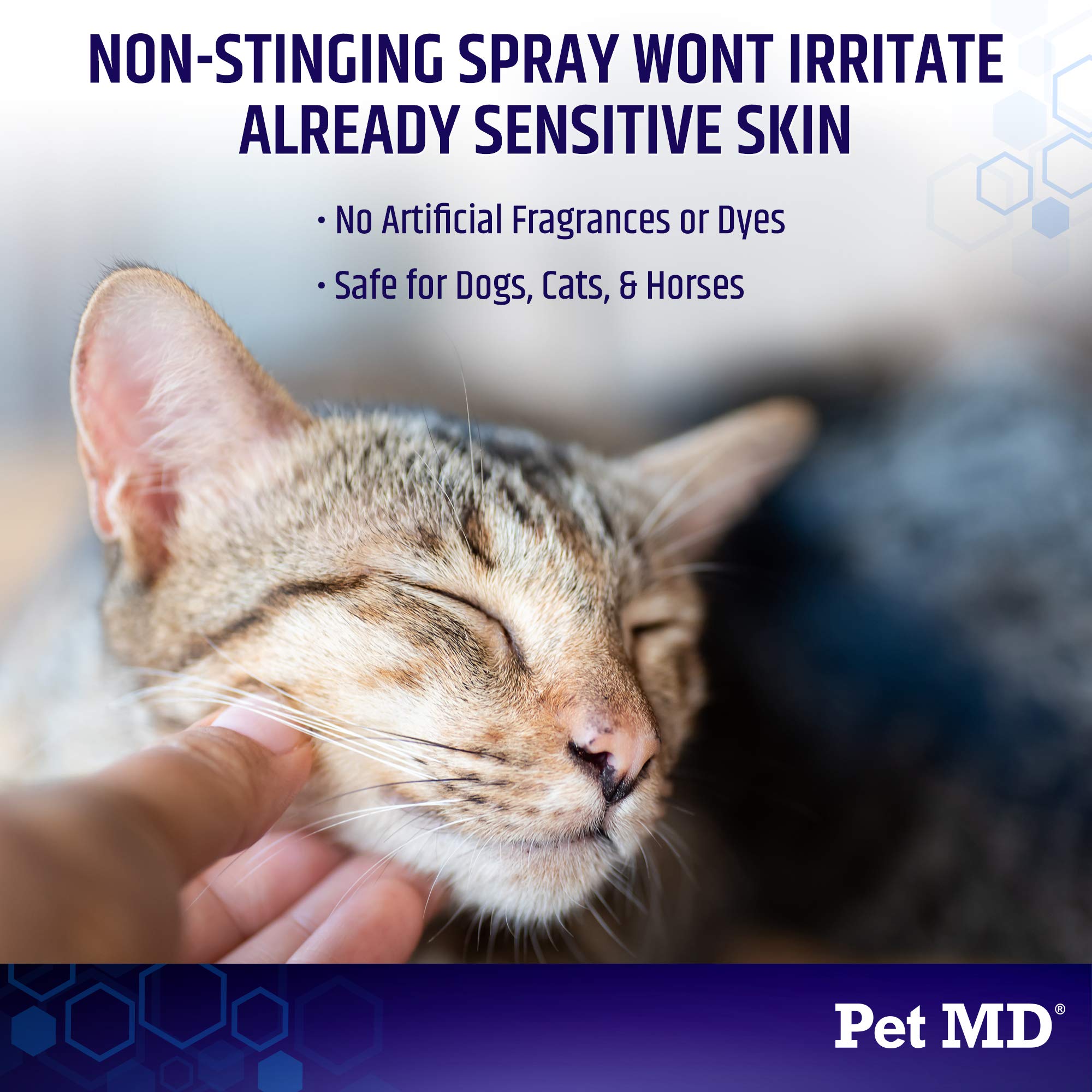 Pet MD Hydrocortisone spray-hot-spot on horse area for comfort