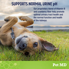 Pet MD Lawn Aid Chews dog eating a chew with probiotic support