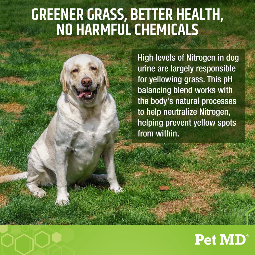 Pet MD Lawn Aid Chews probiotic ingredients close-up with Bacillus coagulans