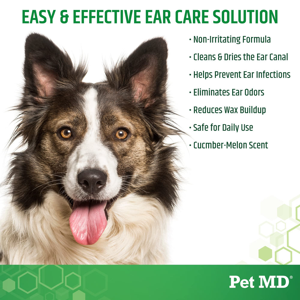 Pet MD Otic Clean being applied to a dog's ear for daily cleanliness.