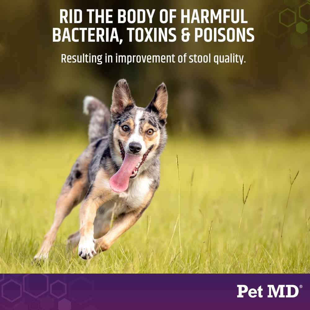 Pet MD Stool-Fix shown with a dog and cat meal for convenient GI upset use.