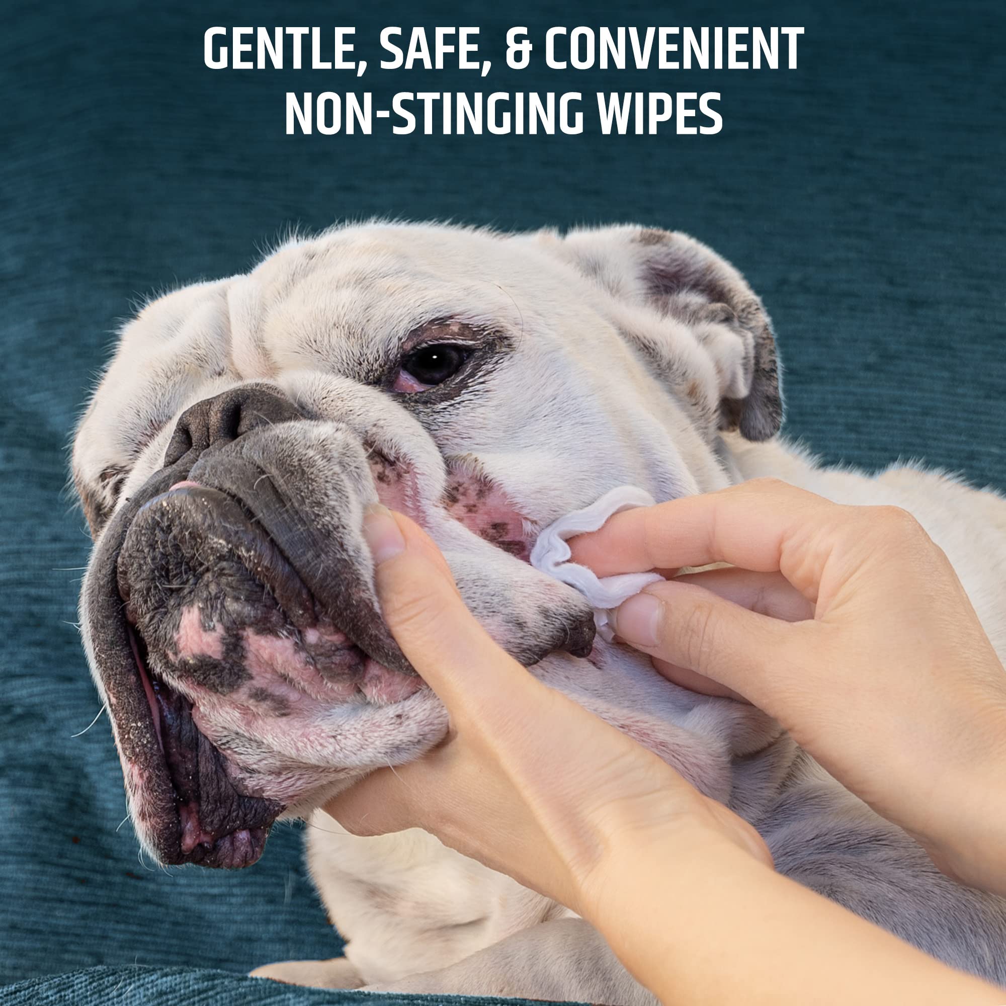Toallitas Pet MD con aloe para desodorizar y refrescar mascotas.