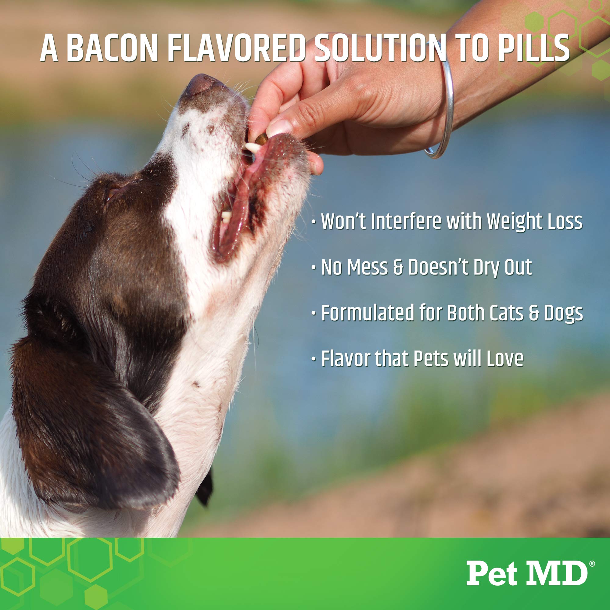 Pet MD Wrap bacon-flavor-taste-test depicts dogs enjoying flavor while taking pills