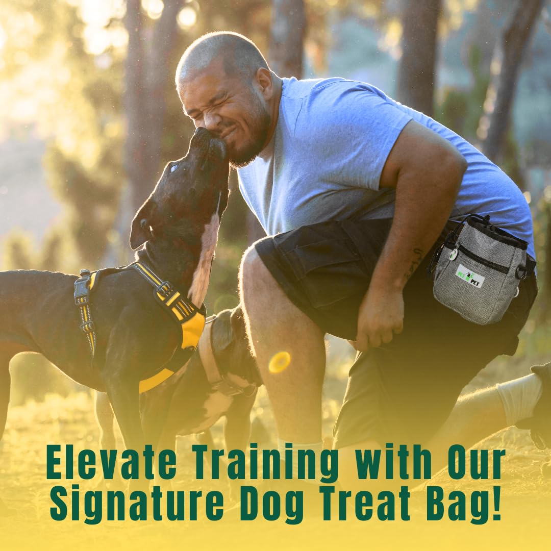Pet N Pet dog treat pouch outdoor park use for walking and training.