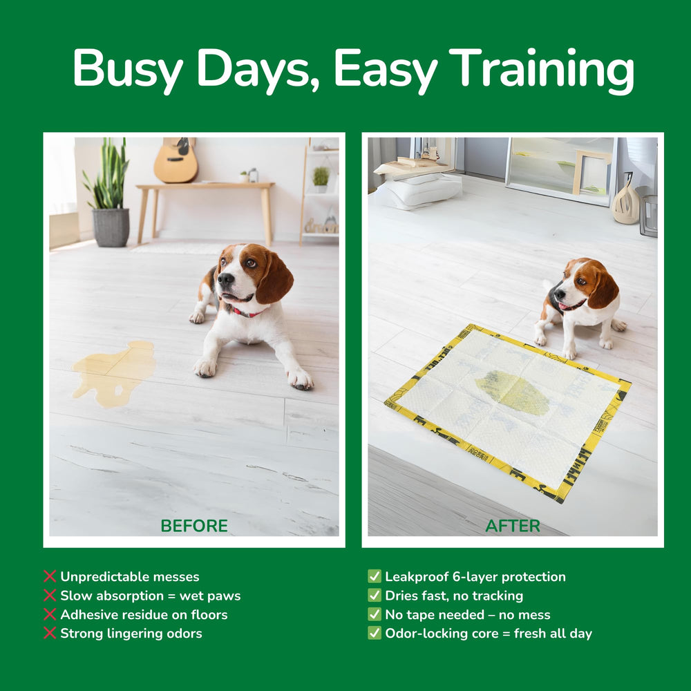 PET N PET multi-purpose pad supports training and crate use