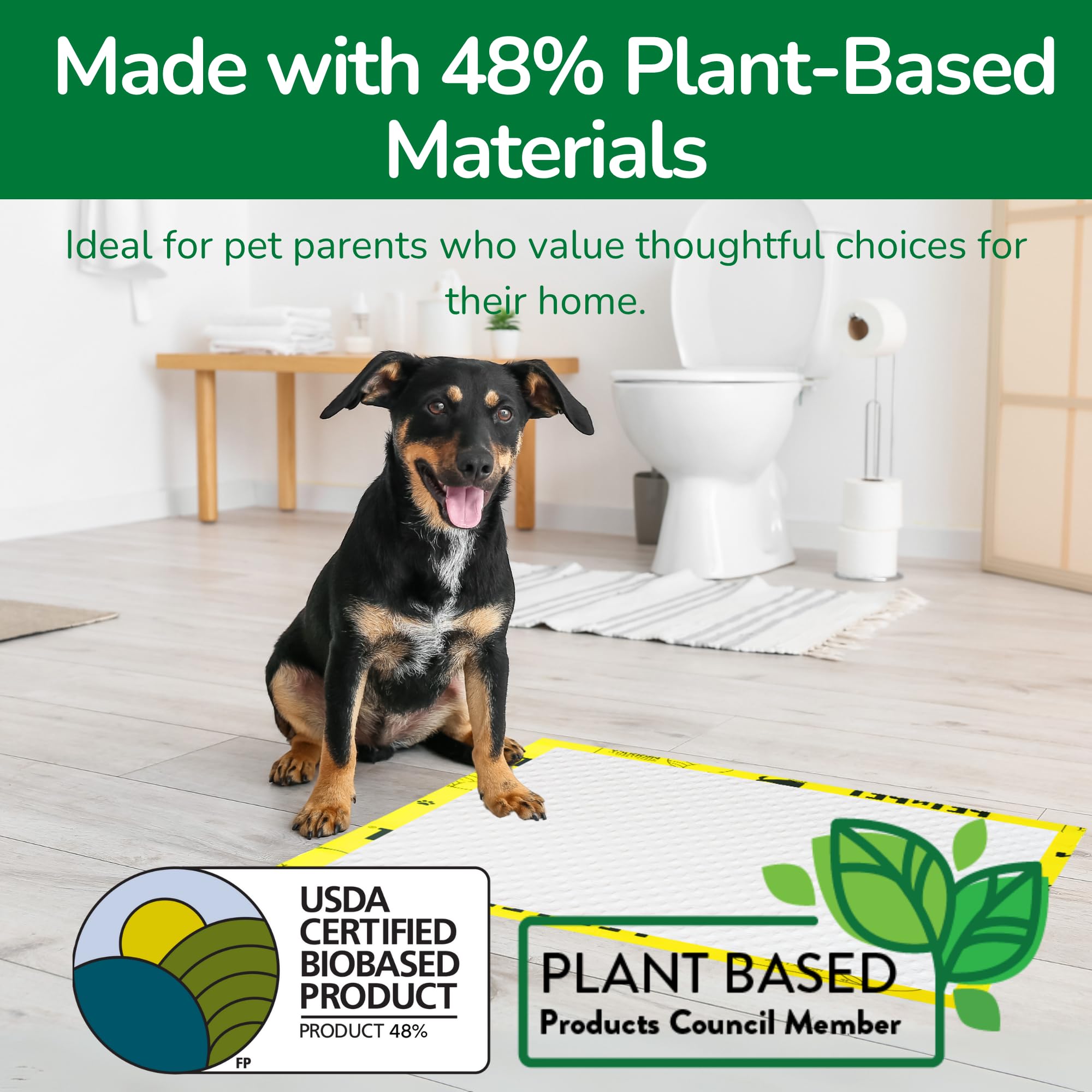 PET N PET odor-control pee pad helps keep rooms fresh