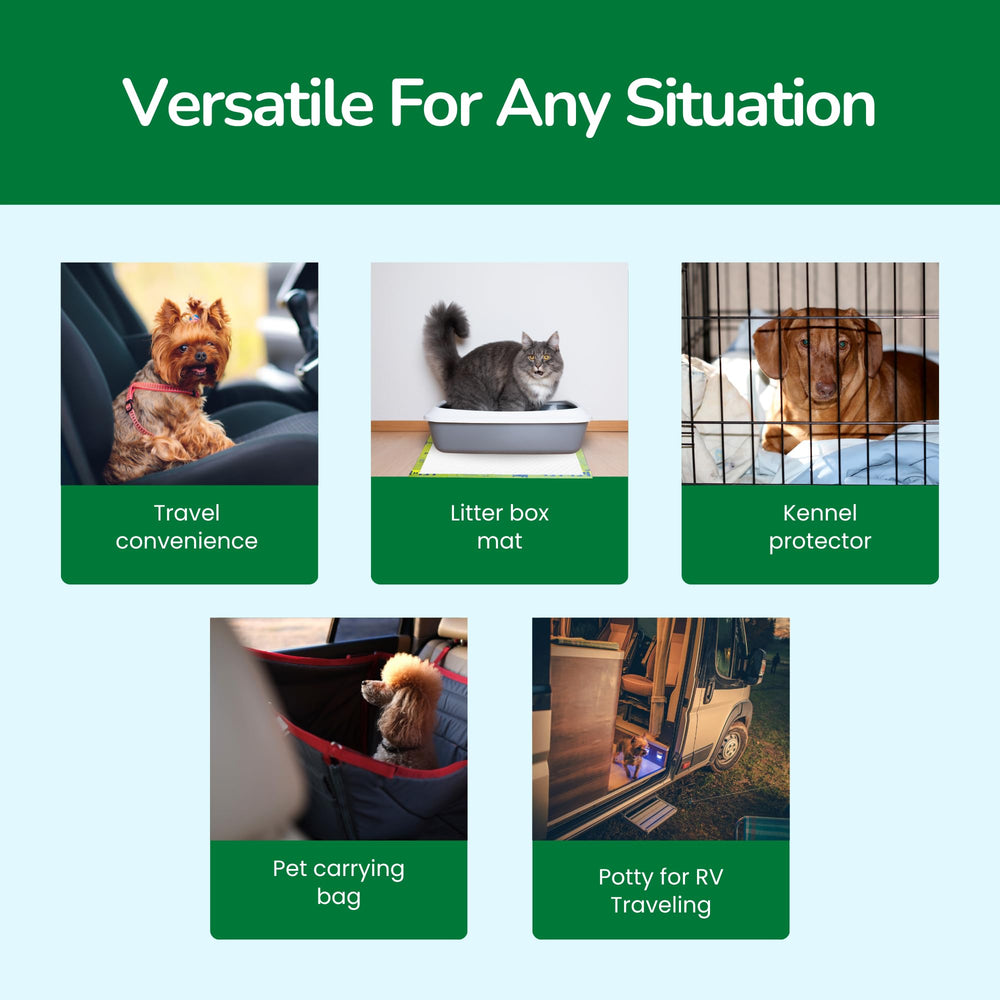 PET N PET senior-pet care pad offers gentle protection for older dogs