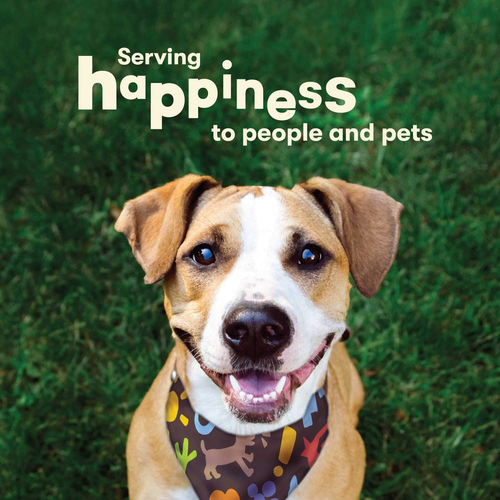 Pet 'n Shape Chicken Wrapped Rawhide Sticks ready-to-gnaw chews for dogs