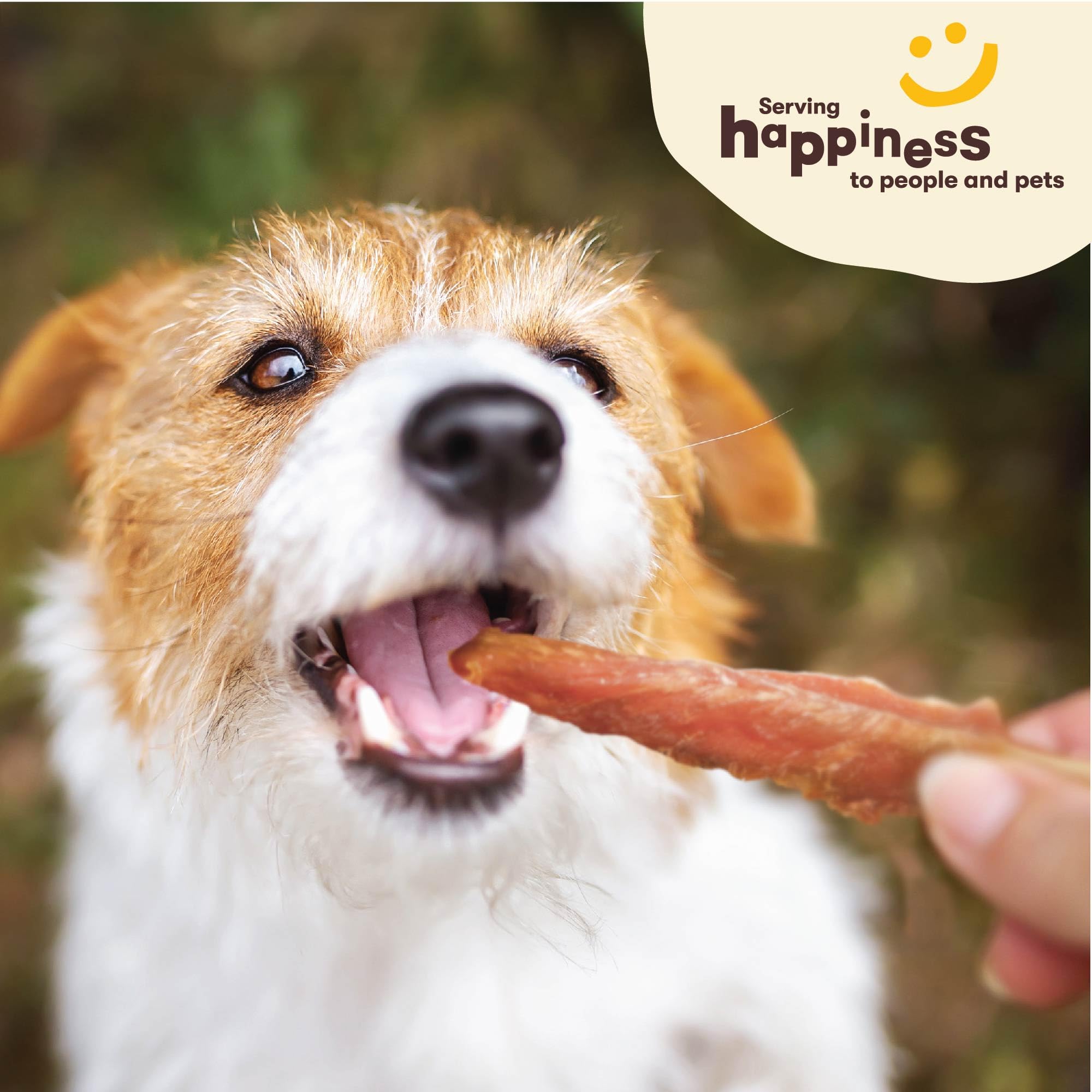 Pet 'n Shape Chik 'n Skewers one-size-fits-all design works for all dogs.