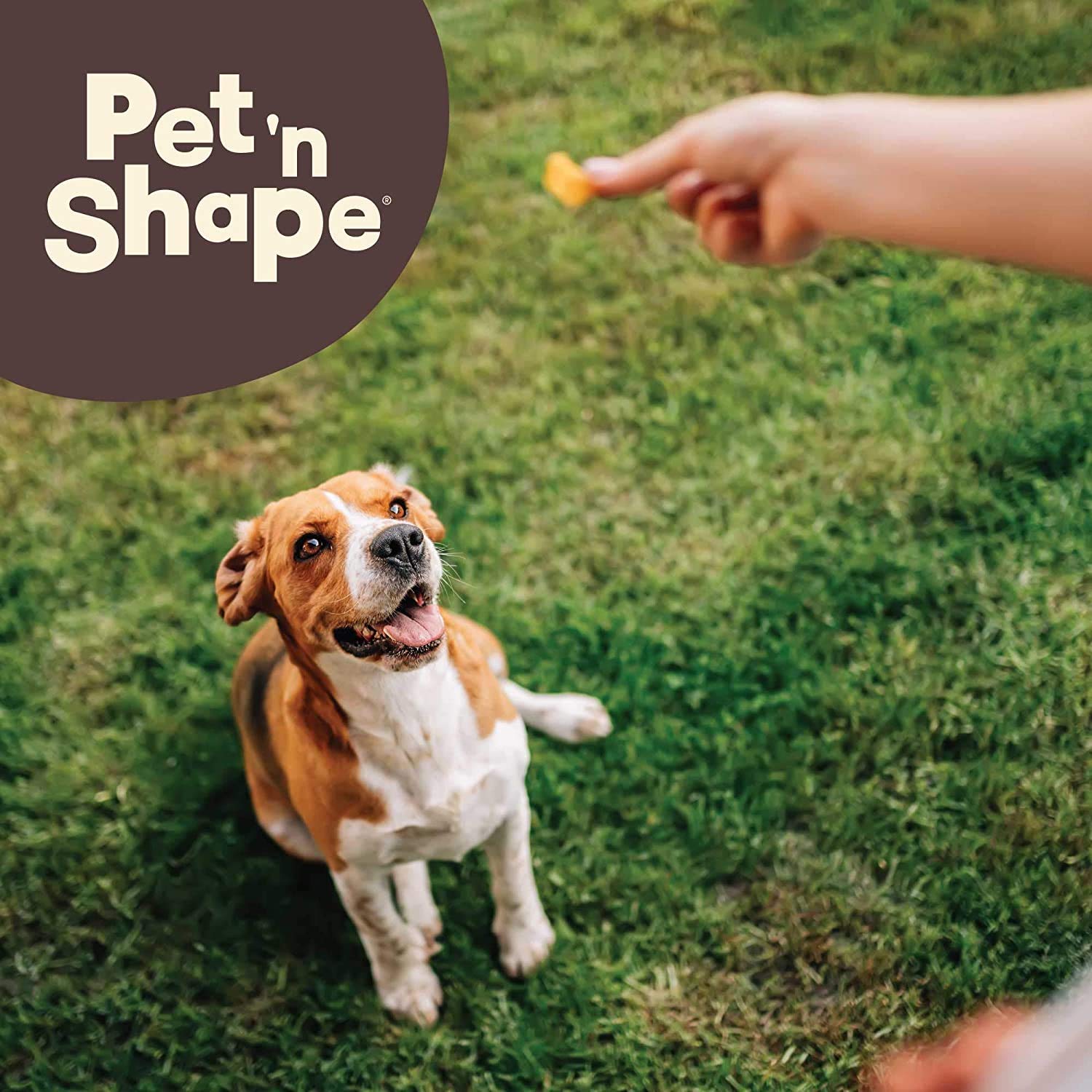 Pet 'n Shape Stix are ideal training treats broken into pieces.