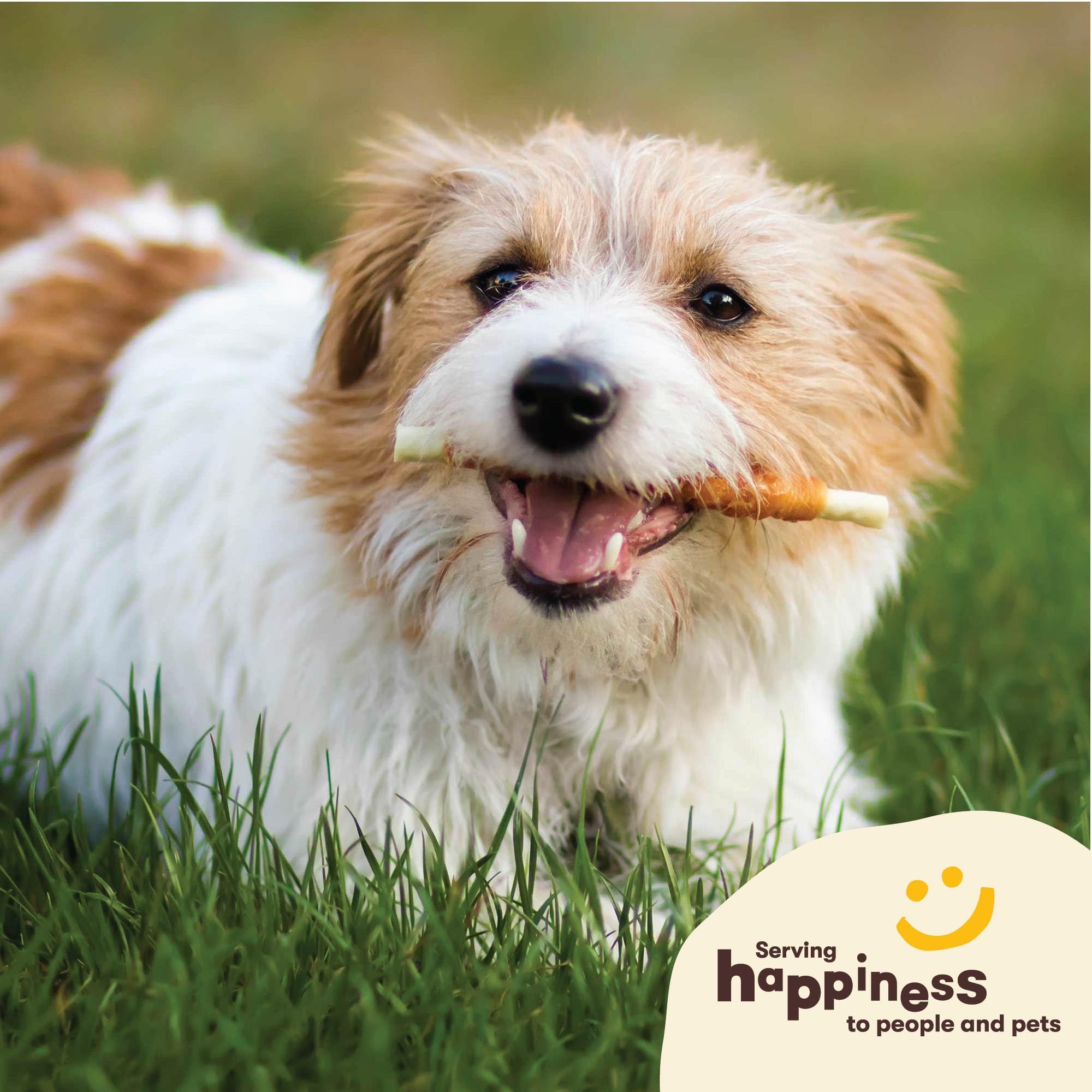 Pet 'n Shape Hide Twists puppy-to-senior: chew suitable for dogs of all ages