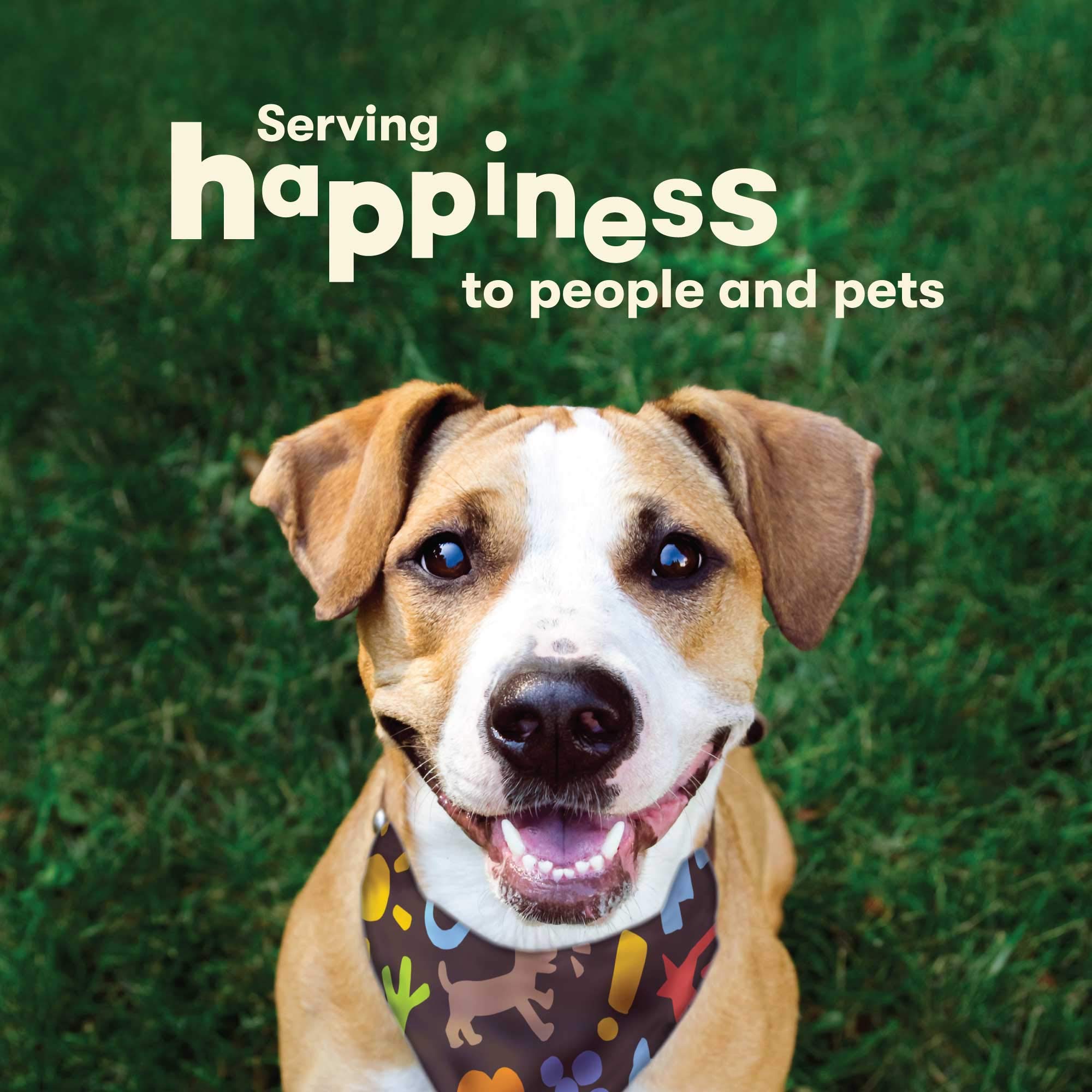 Pet 'n Shape Lamb Jerky Treats resealable bag preserves chewiness and freshness.