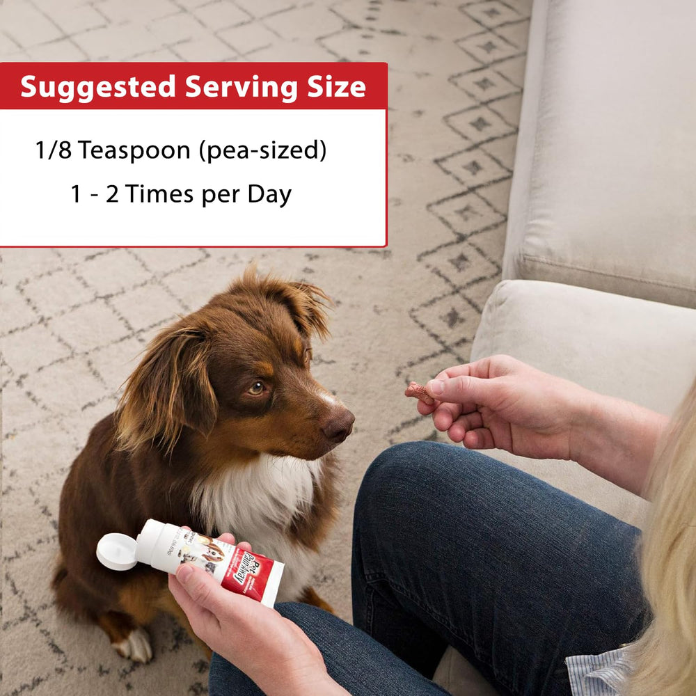 Pet Pain Away elder dog staying active hints at joint support.