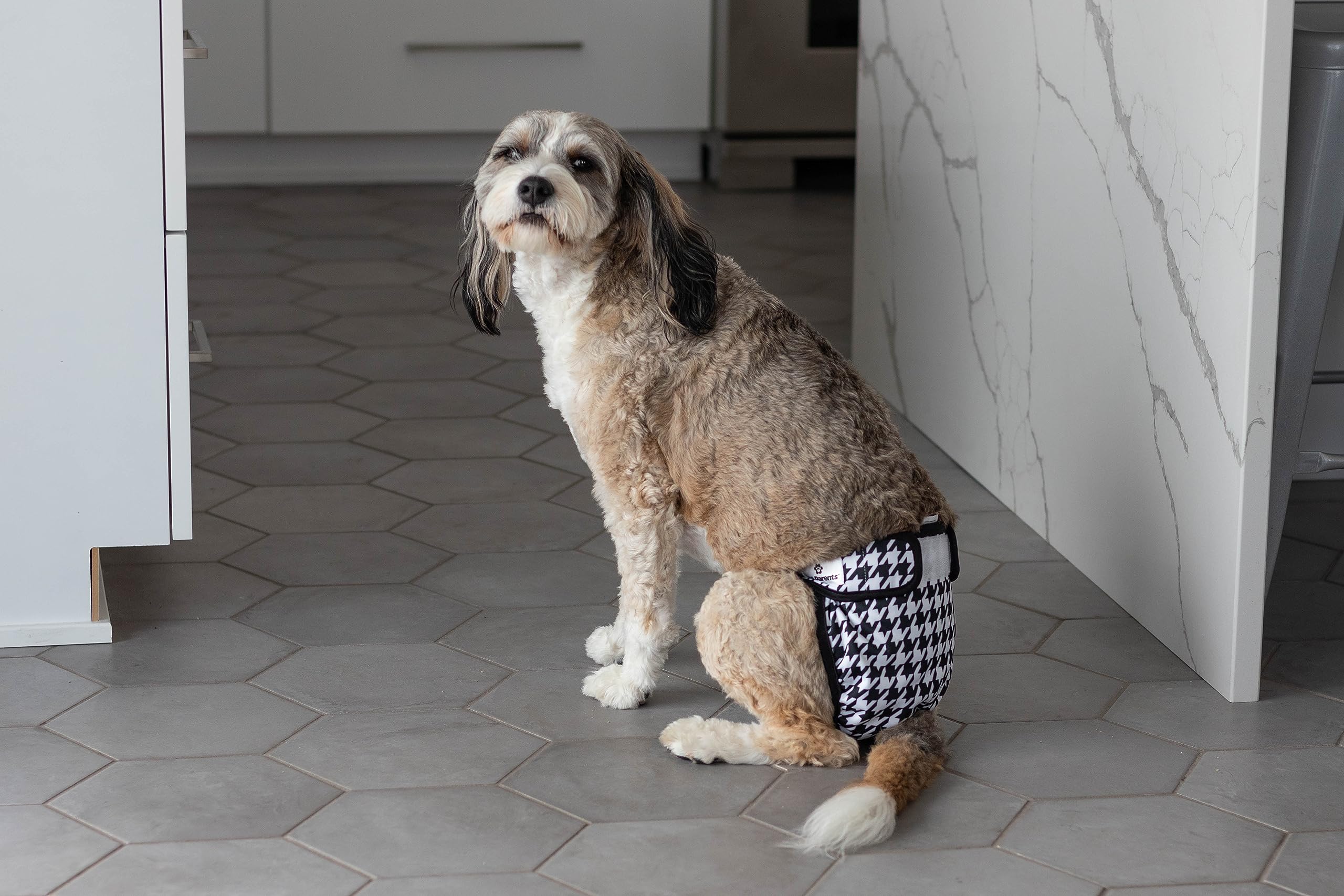 Pet Parents Adjustable elastic detail closeup suggests snug, flexible fit for different pups.
