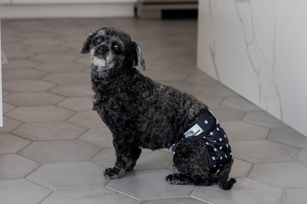 Pet Parents Diapers on dogs of various shapes illustrate flexible sizing