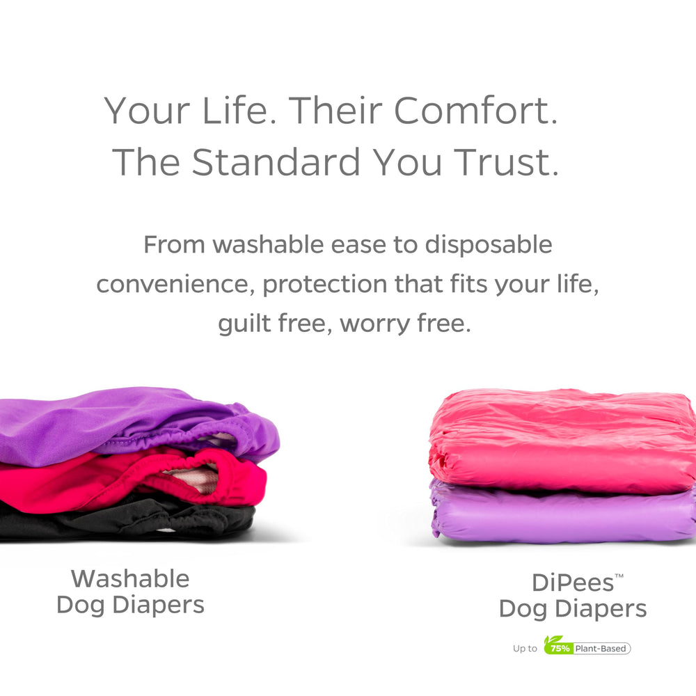 Pet Parents dog diapers support training and incontinence with soft materials