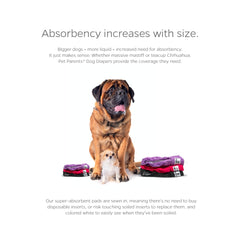 Pet Parents waterproof outer layer protects rugs from accidents