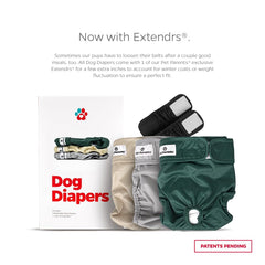 Pet Parents Extendrs add extra length for better fit on varied dogs