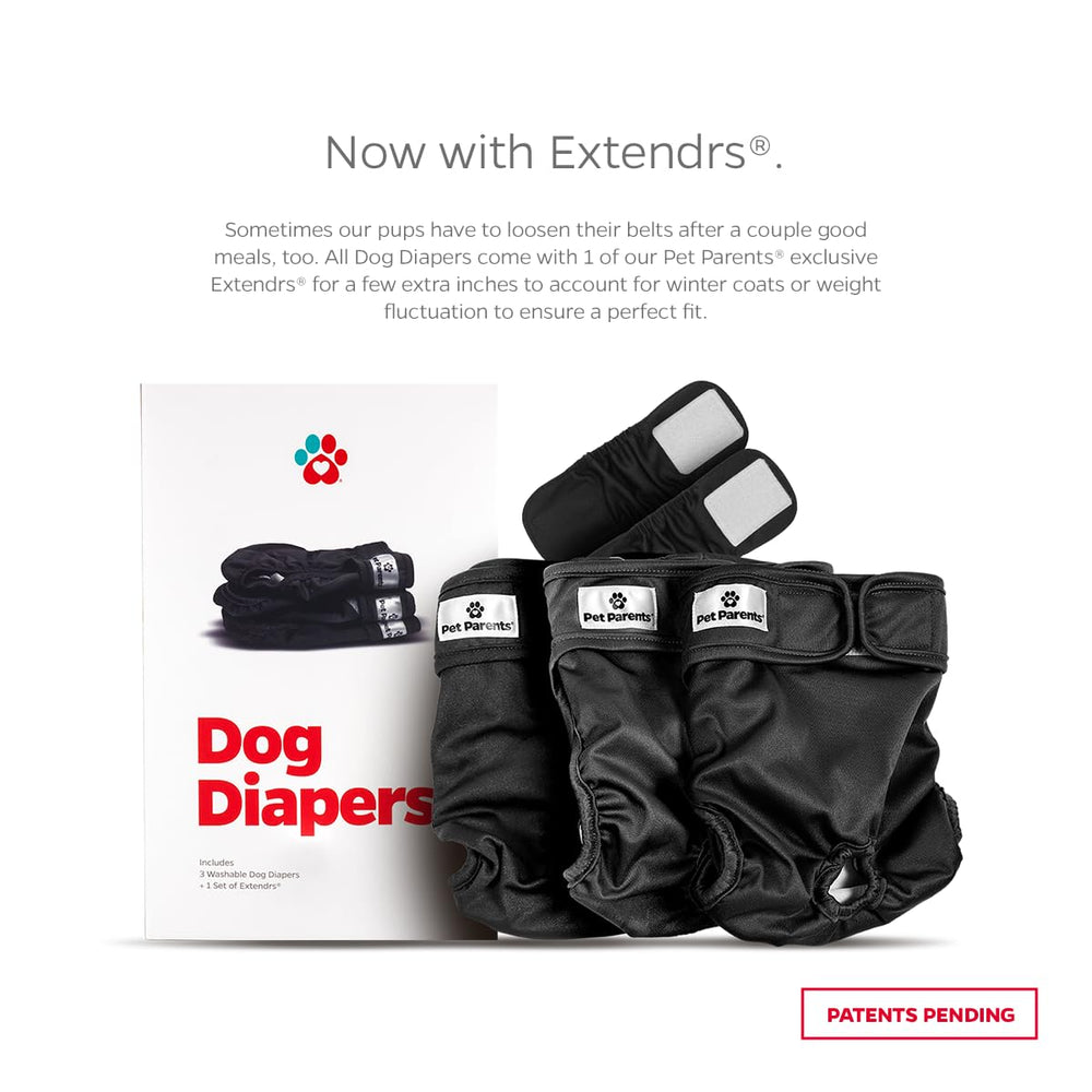 Pet Parents Extendrs extra-inch fit on a small dog for secure coverage.