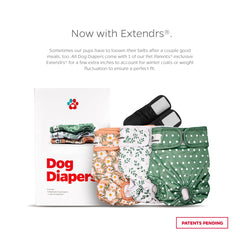 Pet Parents Extendrs patent-pending strap closeup for adjustable comfort and secure fit