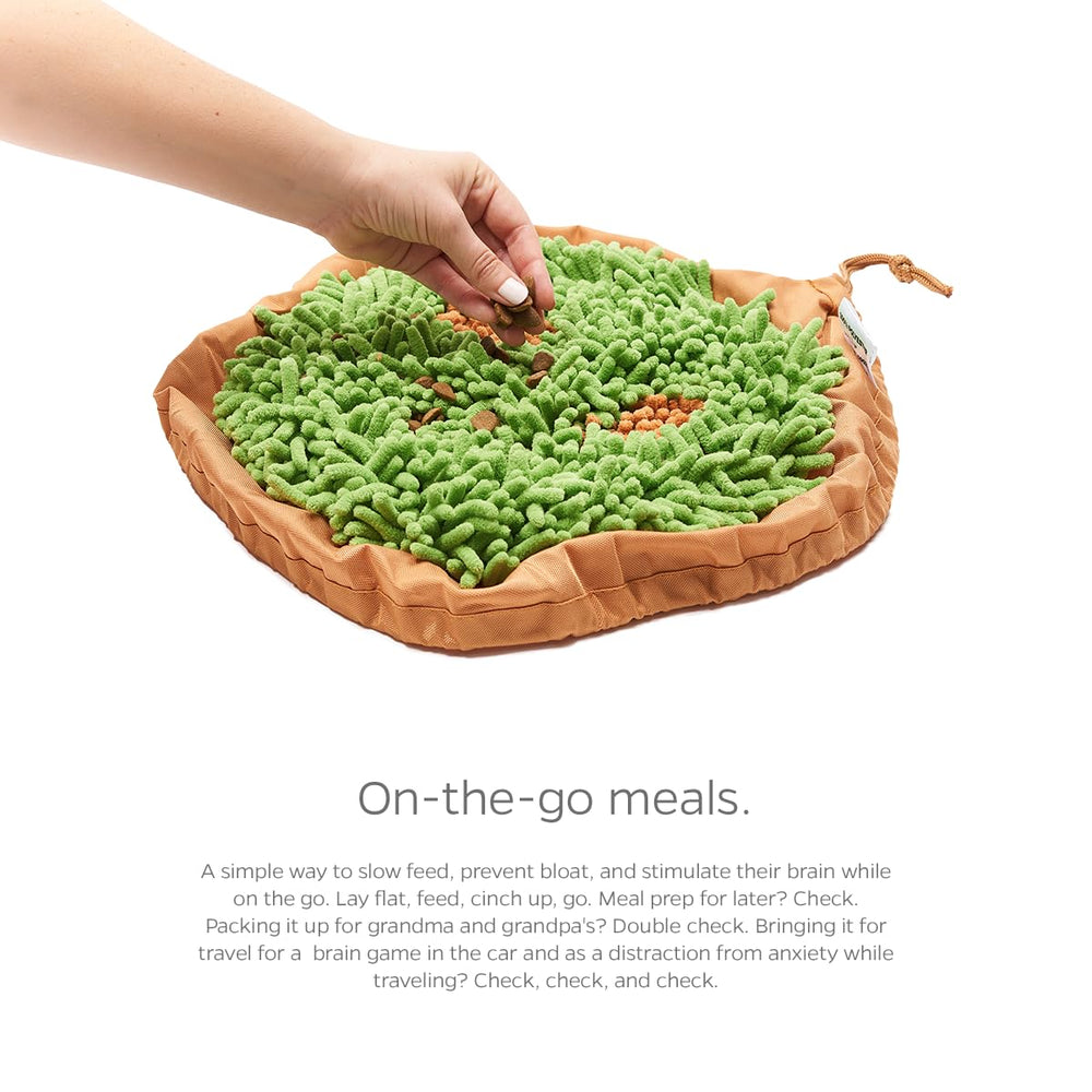 Pet Parents Forager bowl suitable for dogs and cats of all life stages.