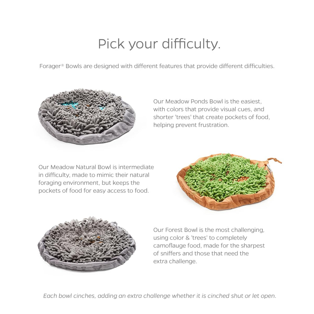 Pet Parents Forager bowl with non-slip backing keeps surfaces steady.