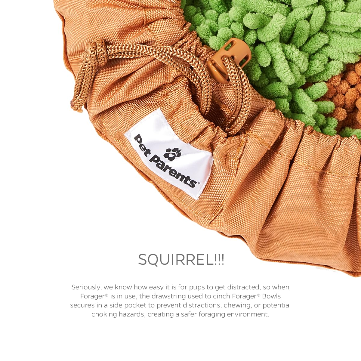 Pet Parents Forager bowl is washable for easy cleanup.