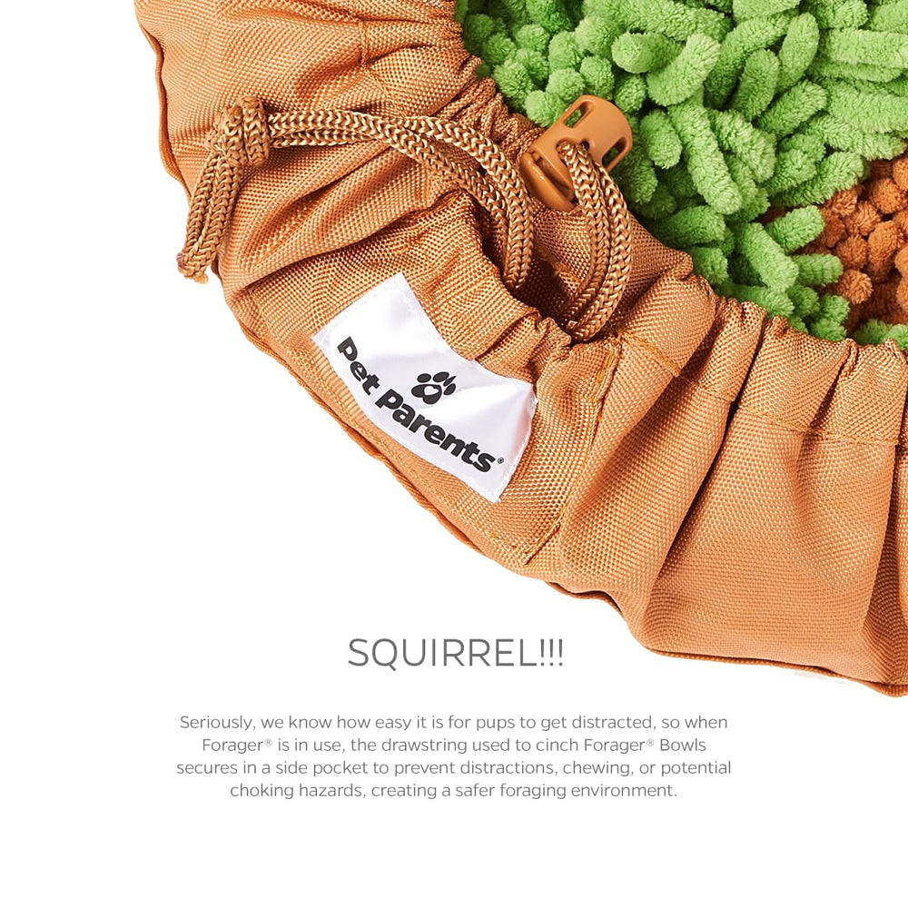 Pet Parents Forager bowl is washable for easy cleanup.