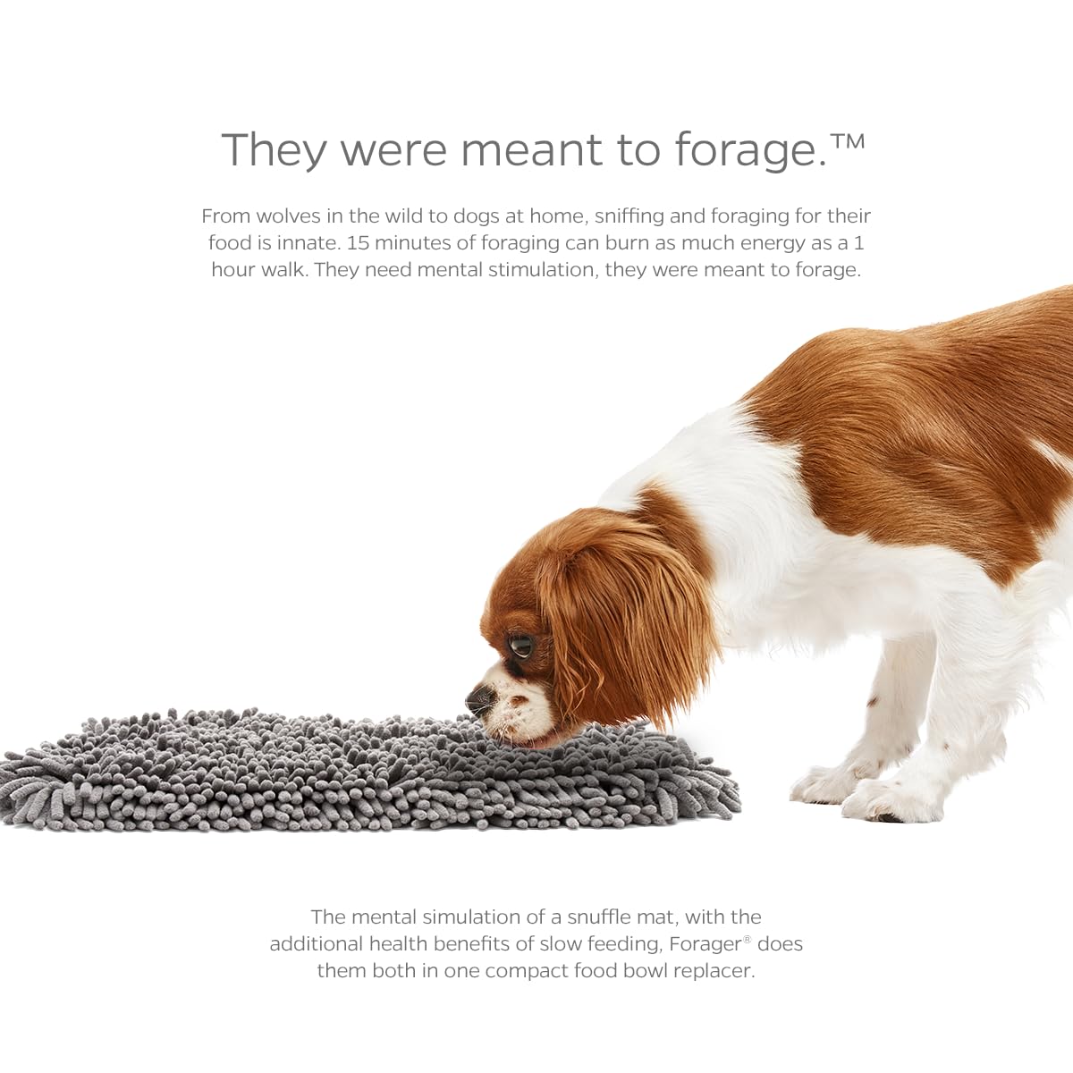 Pet Parents Forager Mat Forest 19 non-slip backing demonstrates secure placement during meals.