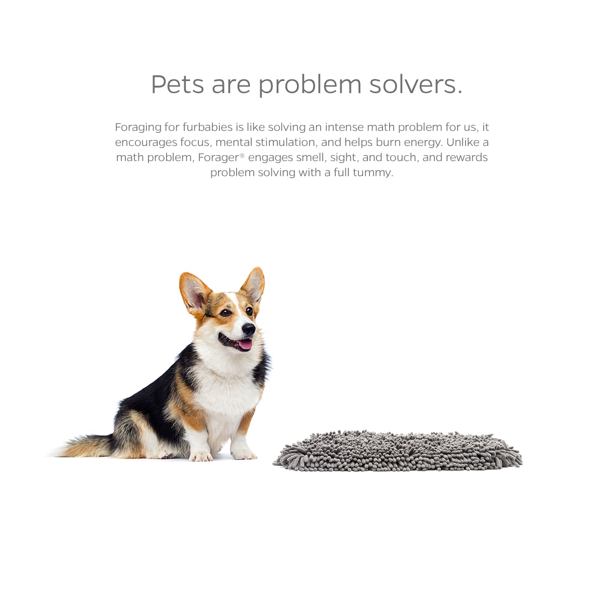 Pet Parents Forager Mat Forest 19 travel-strap setup demonstrates easy packing for trips.