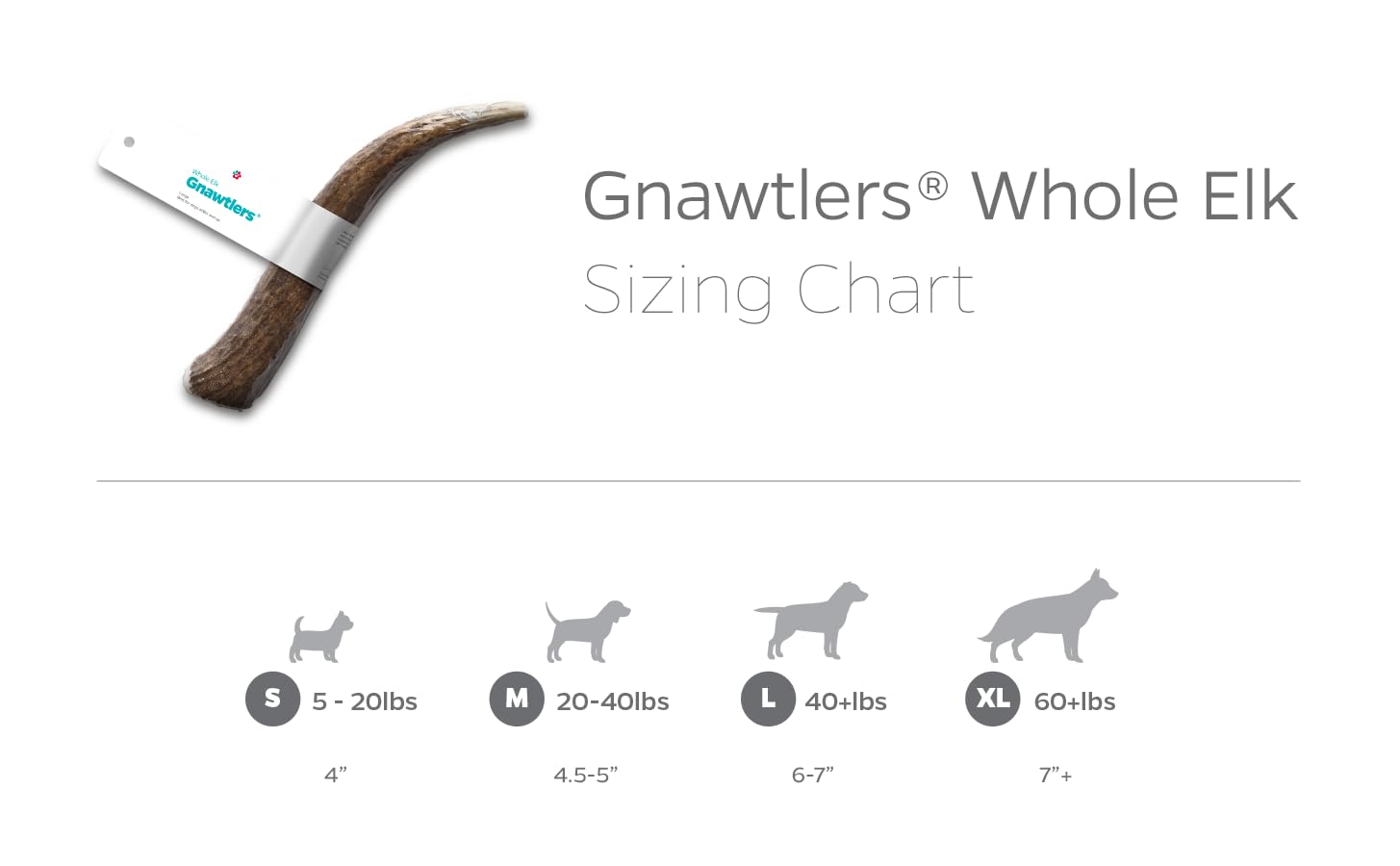 Pet Parents Gnawtlers large-dog enjoyment during chew time