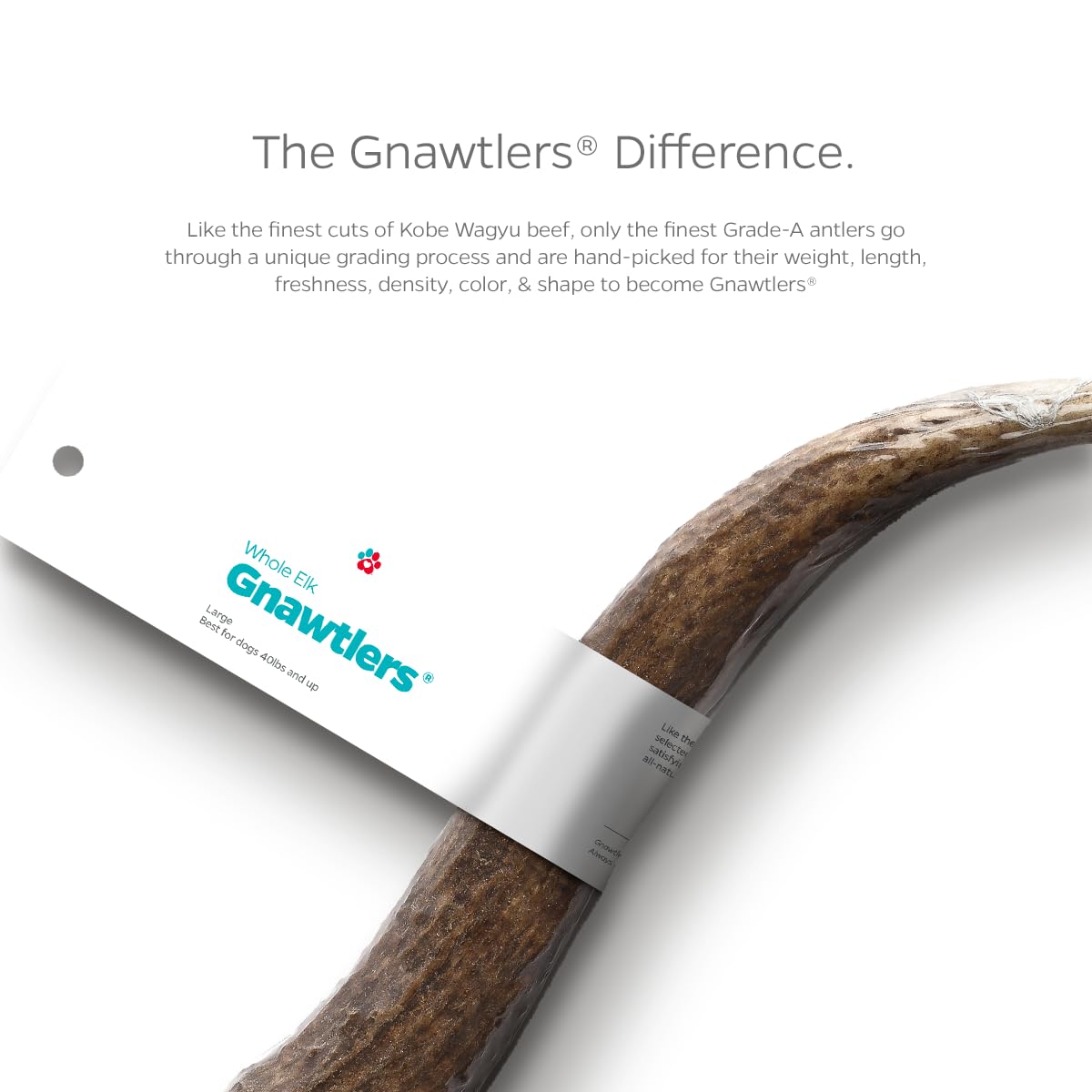 Pet Parents Gnawtlers vacuum-sealed packaging keeps antlers fresh and clean