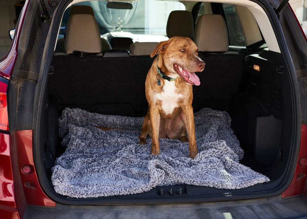 Manta ideal para coche, cama o sofá de Pet Parents.