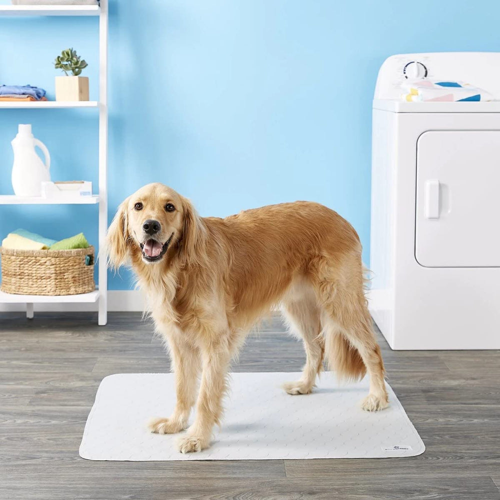 Pet Parents Pawtect Pad provides large 41x41 inch coverage for big dogs
