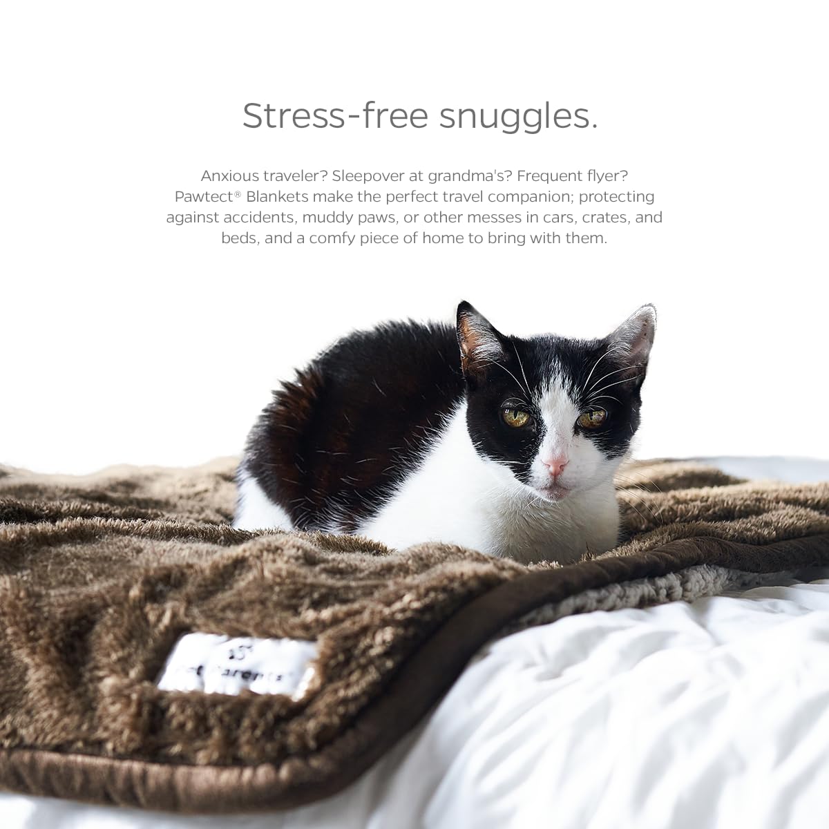 Pet Parents Pawtect WickQuick moisture-wicking layer keeps surfaces dry.