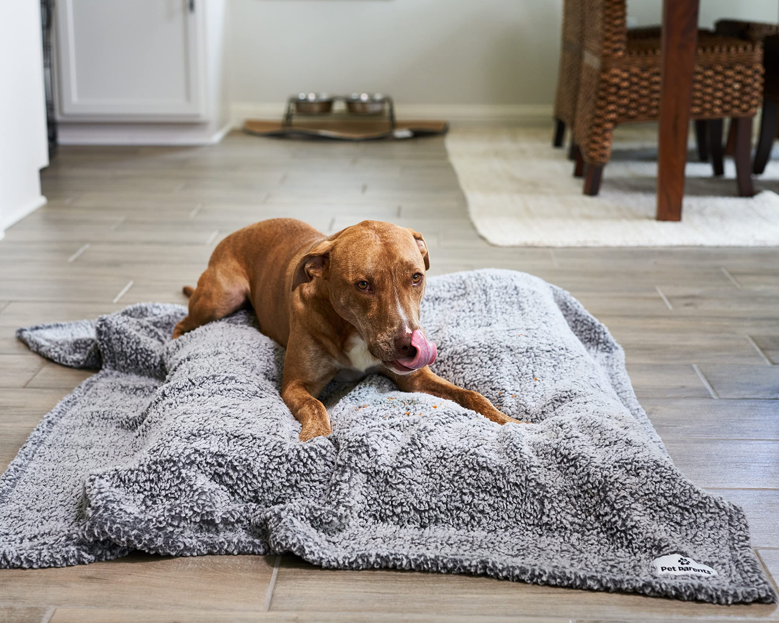Pet Parents Premium Pet Blanket lightweight and travel friendly for trips