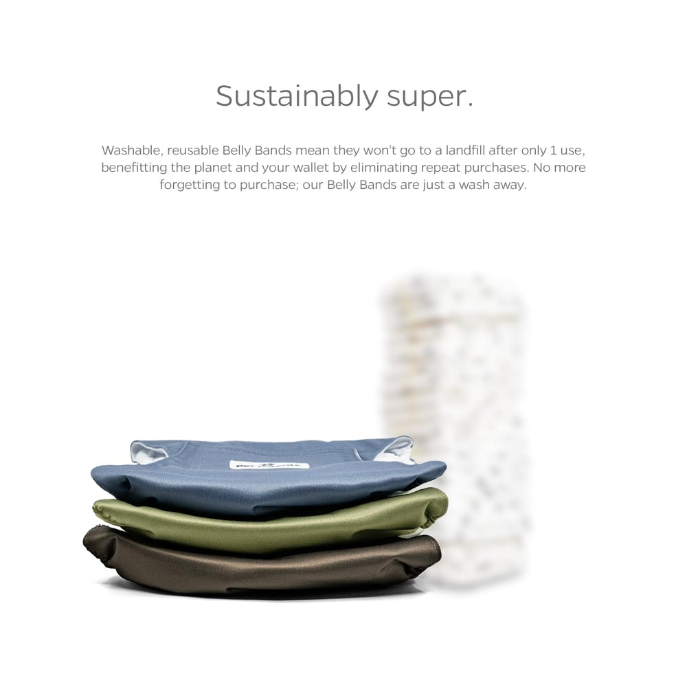 Talla XS para perros pequeños con ajuste flexible y cómodo.