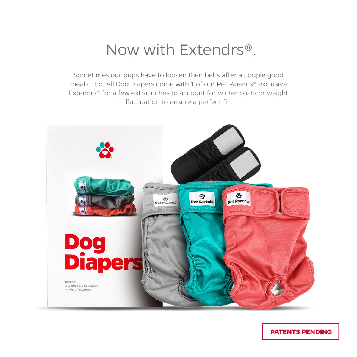 Pet Parents washable dog diapers on dog demonstrating snug fit