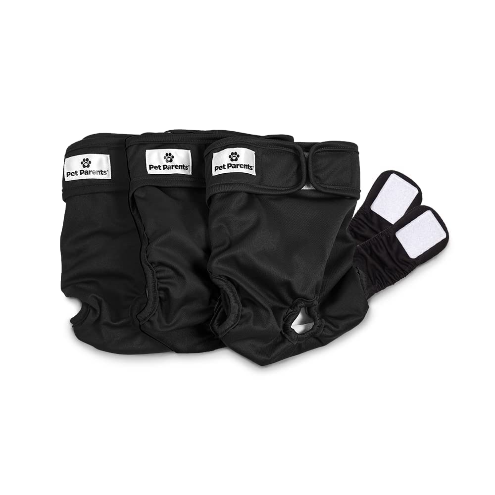 Pet Parents Washable Dog Diapers 3pack on a pup showing reusable protection.