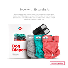 Pet Parents washable dog diapers on dog demonstrating snug fit